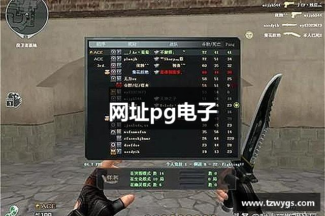 PG电子·(中国)官方网站